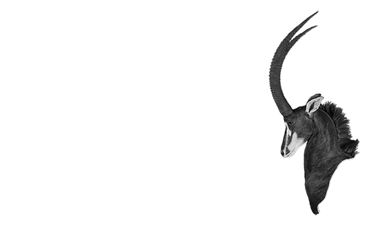 African Game